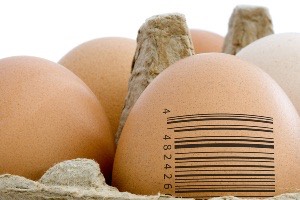 eggs GMO identify