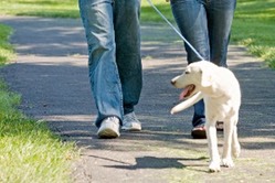 walking-fitness chiropractor